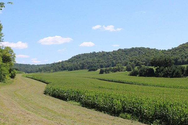 REAL ESTATE AUCTION - 296.88+/- ACRES IN 8 TRACTS IN RICHLAND COUNTY, WISCONSIN